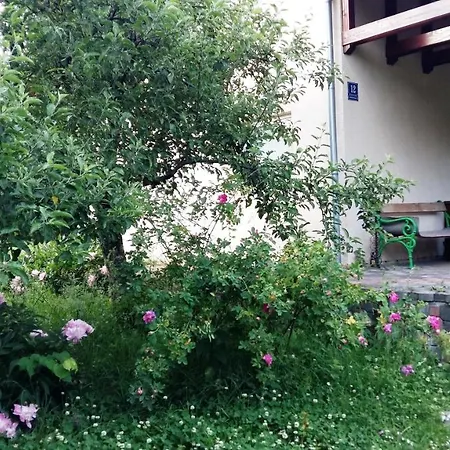 Carobna Kucica Holiday home Pale